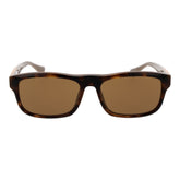 Web Brown Acetate Sunglasses